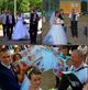 Свадьба юбилей ведущий тамада дискотека баян в   Смолевичах